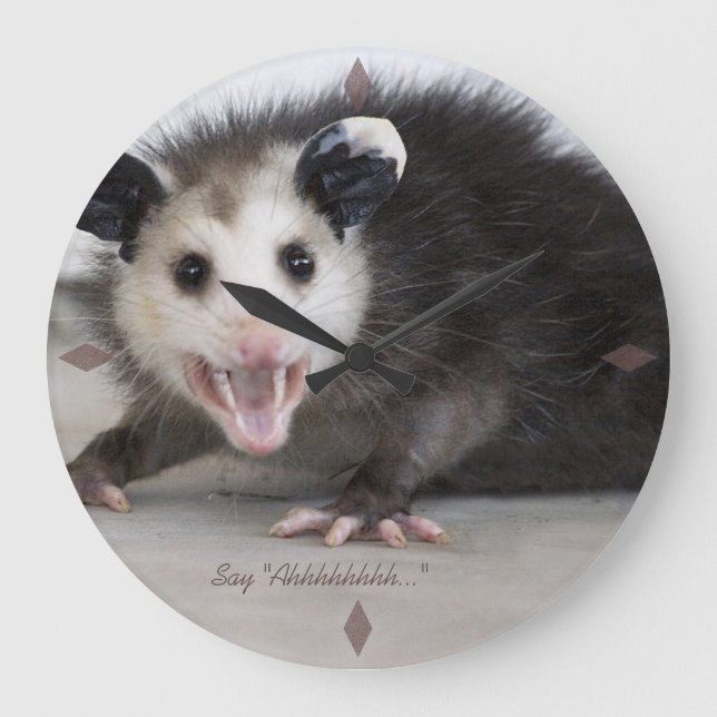 doctors office funny opossum photo wall clock (Front)