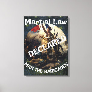 DOD DOJ EPA TRUMP DECLARES MARTIAL LAW BARRICADES  CANVAS PRINT