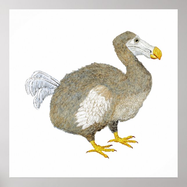 Dodo Bird Artwork Poster (Front)