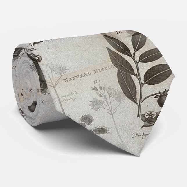 dodo history nature biology tie (Rolled)