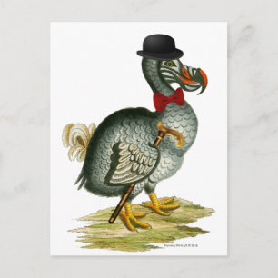 Dodo Wears Bowler Bow Tie Vintage Postcard