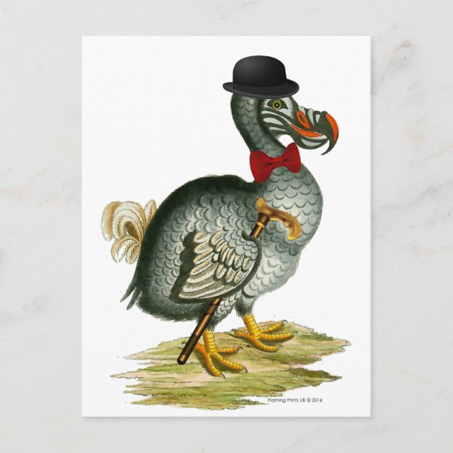 Dodo Wears Bowler Bow Tie Vintage Postcard (Front)