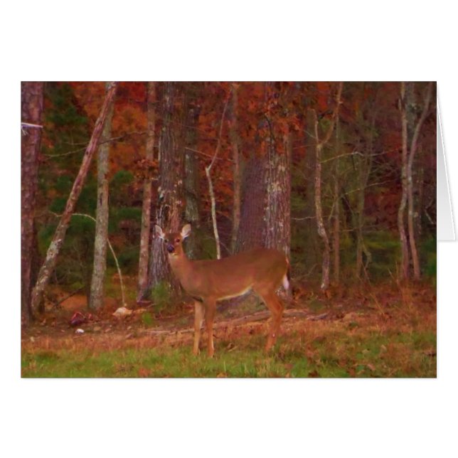 Doe a Deer in Lake Arrowhead (Front Horizontal)