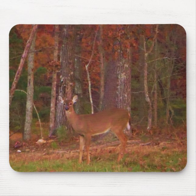 Doe a Deer in Lake Arrowhead Mouse Pad (Front)