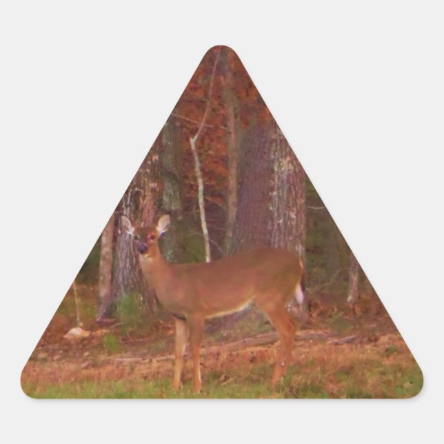 Doe a Deer in Lake Arrowhead Triangle Sticker (Front)