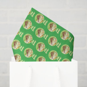 Doe and Fawn Green Tissue Paper