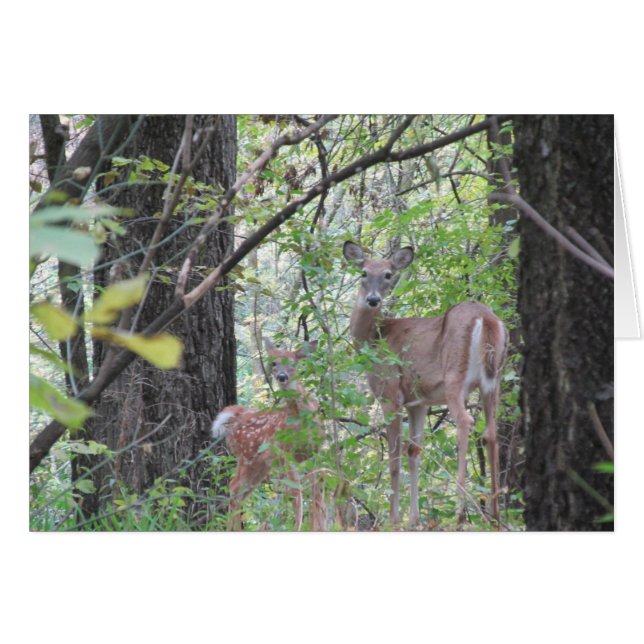 Doe and Her Fawn (Front Horizontal)