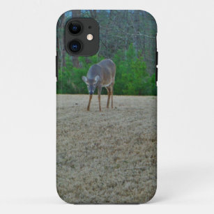 Doe / Deer on a winter golf course iPhone 11 Case