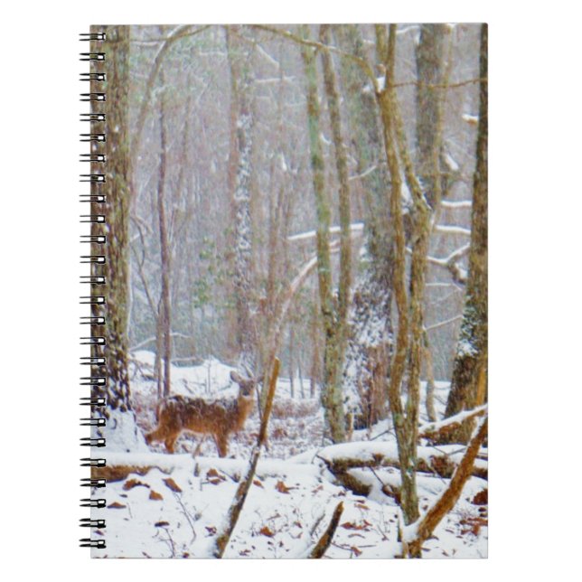 Doe in the snow, Deer in Lake Arrowhead Notebook (Front)