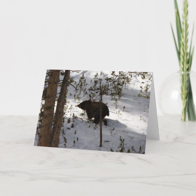 Does A Bear...Card Card (Front)