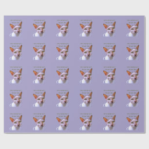 Does it look like i care Funny cat meme Wrapping Paper