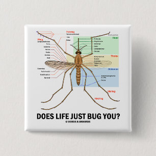 Does Life Just Bug You? (Mosquito Anatomy) 2 Inch Square Button
