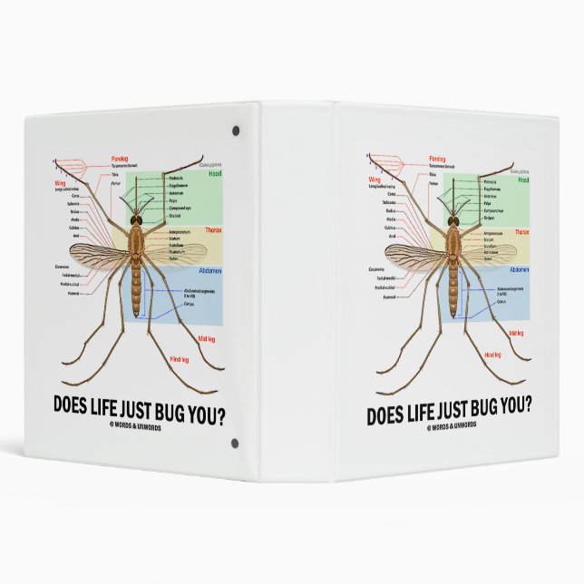 Does Life Just Bug You? Mosquito Anatomy Binder (Background)