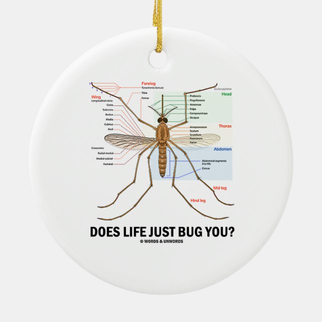 Does Life Just Bug You? (Mosquito Anatomy) Ceramic Ornament (Back)