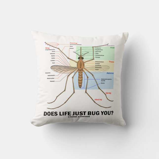 Does Life Just Bug You? (Mosquito Anatomy) Throw Pillow (Front)