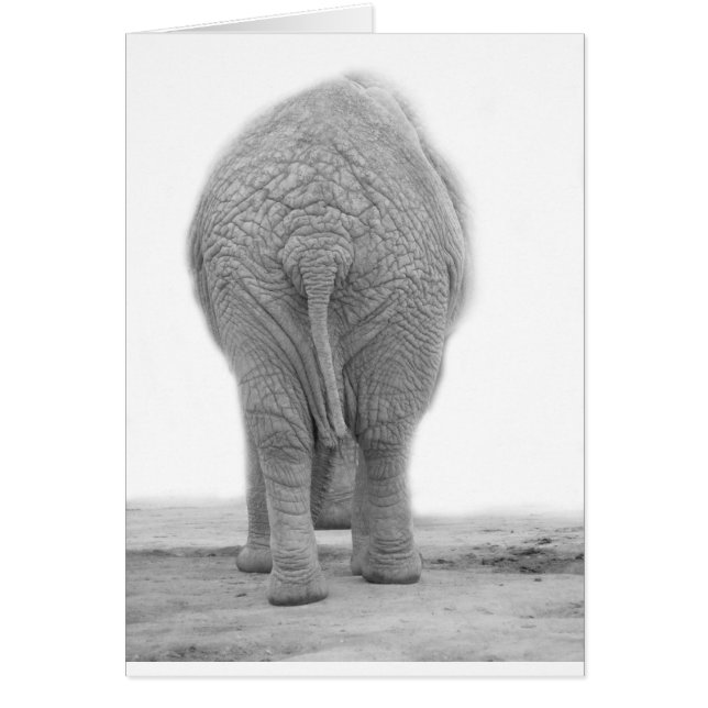 Does my bum look big (Front)