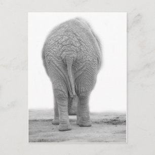 Does my bum look big postcard