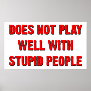 Does Not Play Well With Stupid People Funny Poster