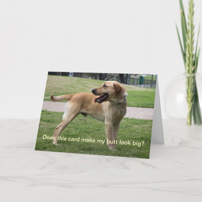 Does this card make my butt look big? (Front)
