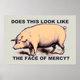 Does This Look Like The Face of Mercy?  Grumpy Pig Poster