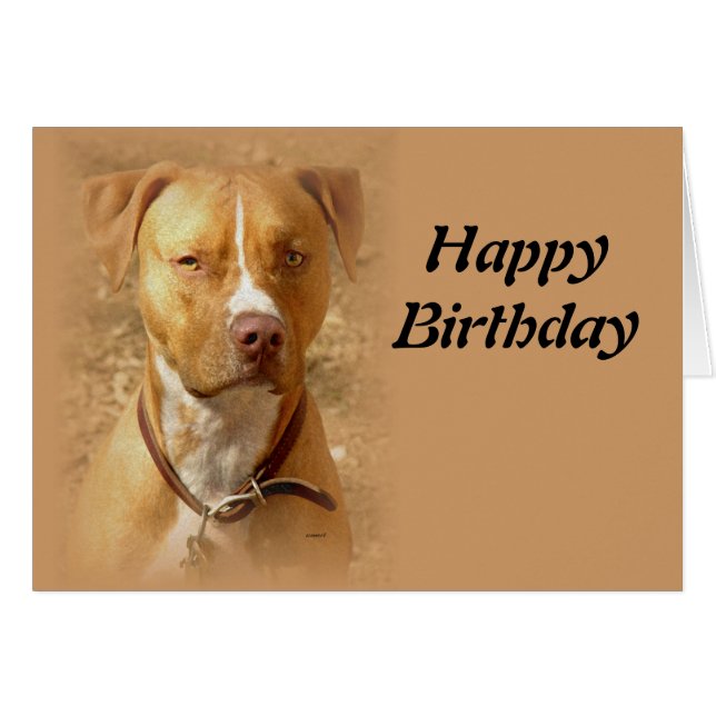 dog (Devant horizontal)