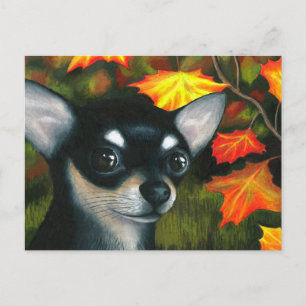 Dog 101 black Chihuahua Postcard