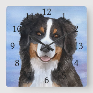Dog 125 Bernese Mountain Square Wall Clock