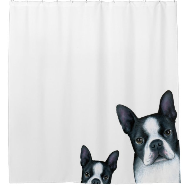 Dog 128 Boston Terrier (Front)
