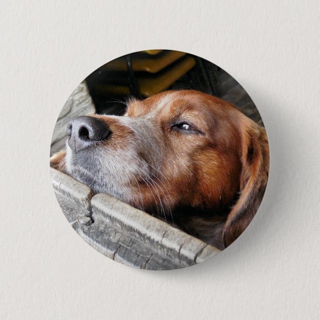 DOG 2 INCH ROUND BUTTON (Front)