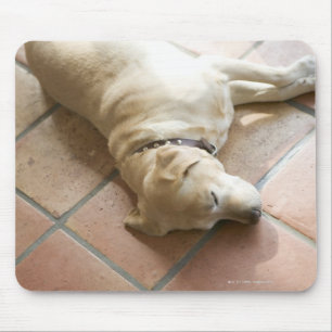 Dog 3 mouse pad