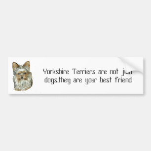 Dog 4, B, Yorkshire Terrier Bumper Sticker