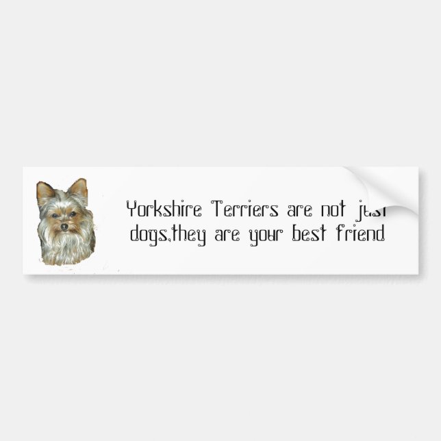 Dog 4, B, Yorkshire Terrier Bumper Sticker (Front)