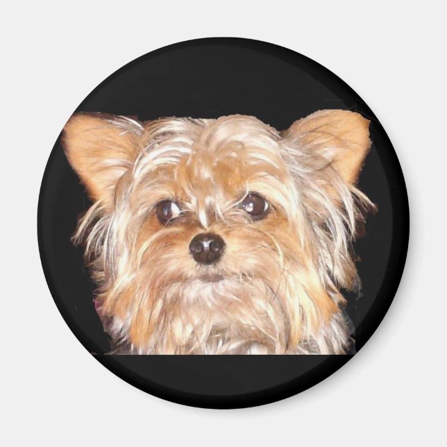 Dog 4, Magnet (Front)