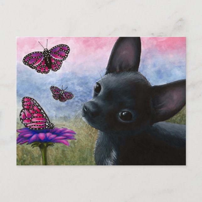 Dog 91 Chihuahua Postcard (Front)