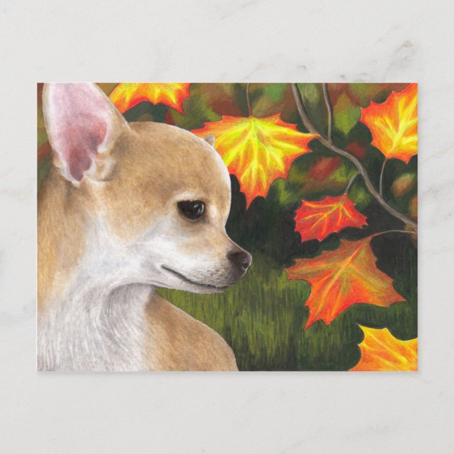 Dog 94 Chihuahua Postcard (Front)