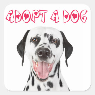 Dog Adoption Dalmatian Puppy Dog Greeting Stickers