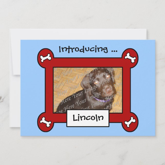 Dog Adoption or Birth Announcements (Red & Blue) (Front)