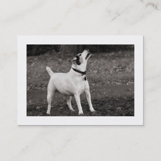 Dog Agog (Bordered) Business Card (Front)