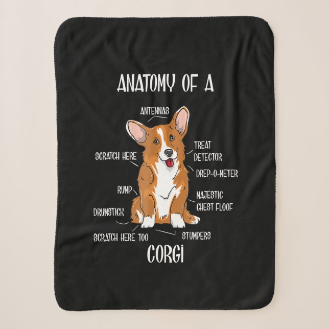 Dog Anatomy , Cute Welsh Corgi Puppy Biology Gift. Sherpa Blanket (Front)