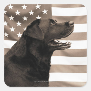Dog and American flag Square Sticker