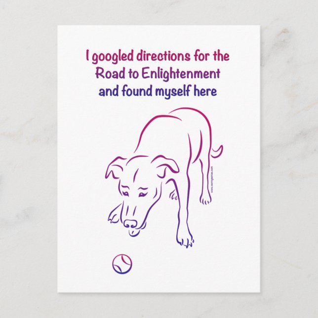 Dog and Ball - Enlightenment Postcard (Front)