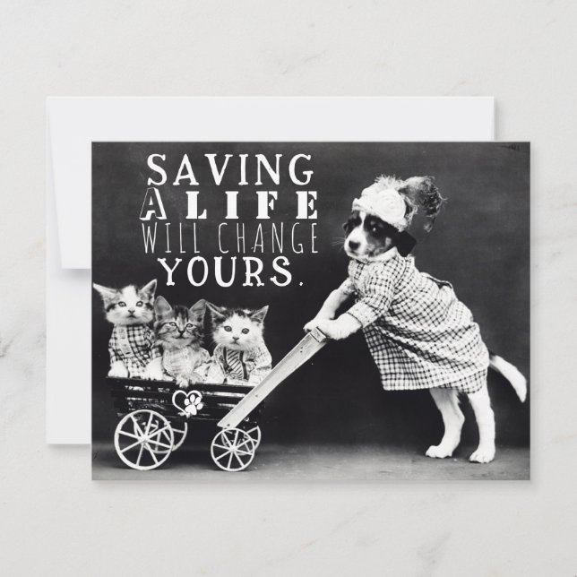 Dog and Cat Adoption and Rescue Greeting Card (Front)