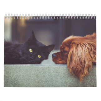 Dog and Cat Calendar