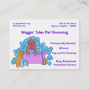 Dog And Cat Grooming Business And Appointment Card