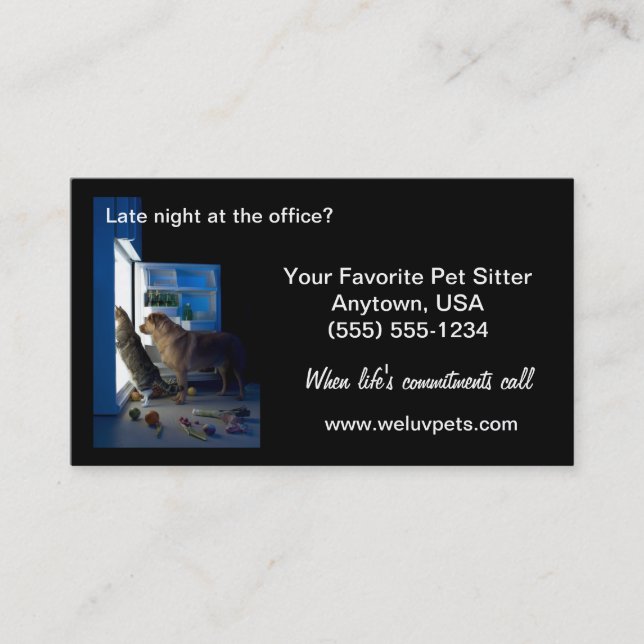 Dog And Cat Home Alone Midnight Pet Sitter Business Card (Front)