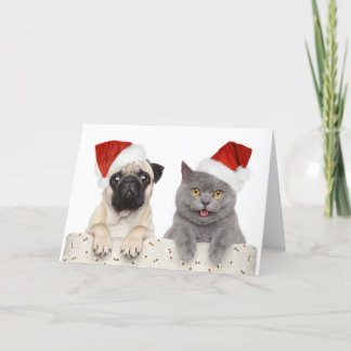Dog And Cat In Red Christmas Hat Holiday Card