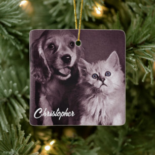 Dog and Cat, Looking Up Personalized Ceramic Ornament