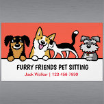 Dog and Cat Pet Sitting Cute Animal Care Funny  Magnetic Business Card<br><div class="desc">A fun magnetic business card for your pet care business! This colourful design features cute dogs and a lovable tuxedo cat. Perfect for dog walkers, trainers, pet sitters, veterinarians, pet day care services and more. Make a memorable impression with a cool magnetic card your clients will want to keep and...</div>