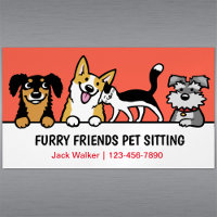 Dog and Cat Pet Sitting Cute Animal Care Funny