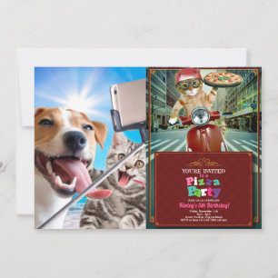 Dog and cat photographed selfie on the phone invitation